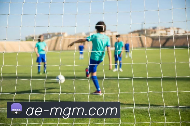 美高梅官网发展历程